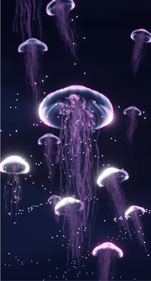 Jellyfish